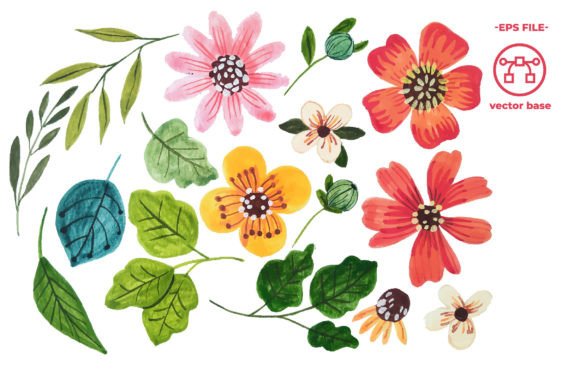 Download Watercolor Flower Elements - Watercolor flower elements Collection