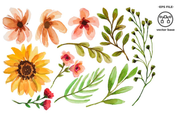 Download Watercolor Flower Elements - Premium Resources